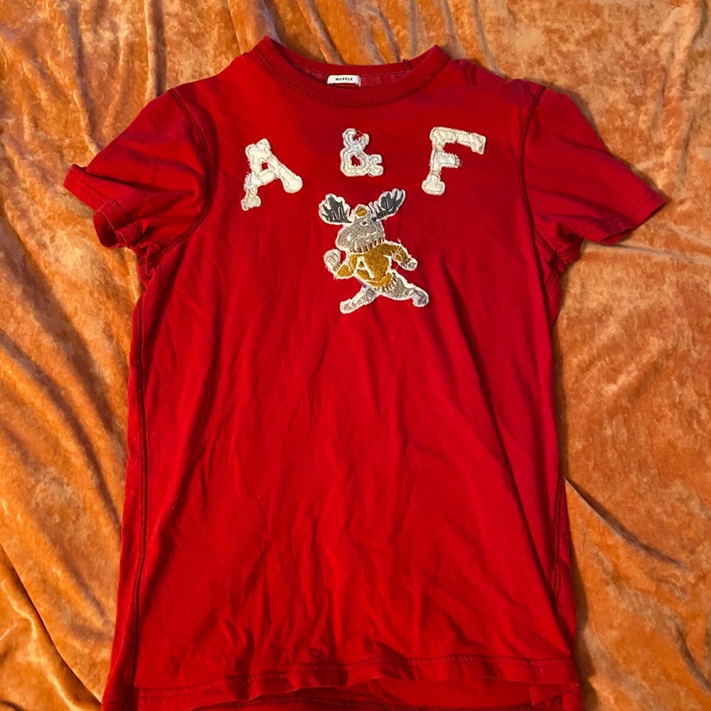 Abercrombie and Finch Men’s T Shirt
